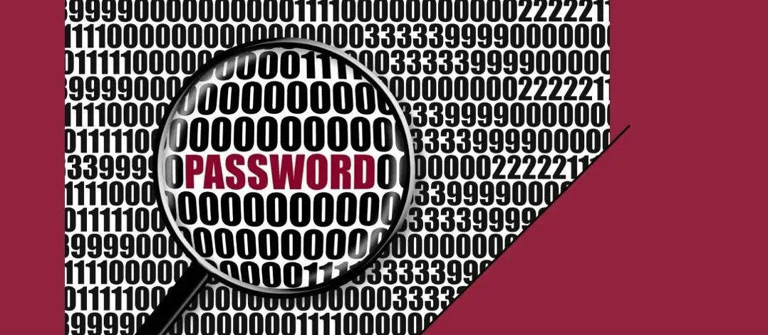 Google Says Sorry After Passwords Vanish For 15 Million Windows Users