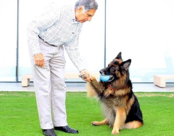 Ratan Tata, the ‘Titan’ of Business, Passes Away at 86